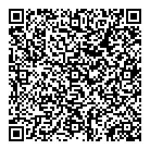 QR Code 1